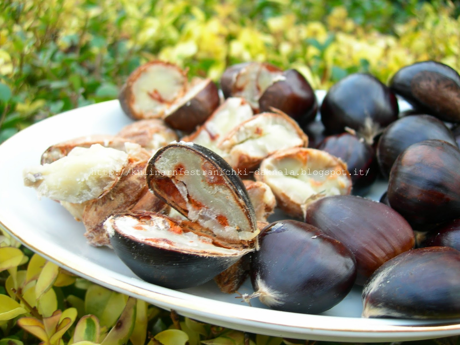 Castagne каштан
